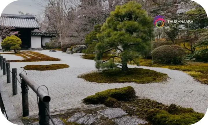 professional landscaping services in Dubai