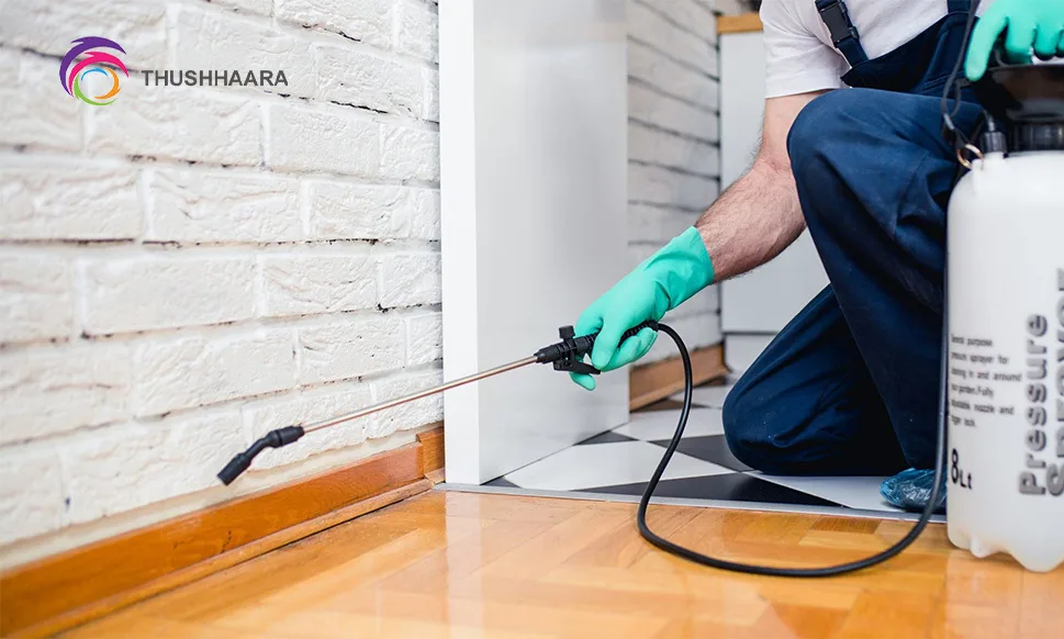 pest control services in Dubai